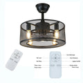 Caged Ceiling Fan Light with Remote R253895
