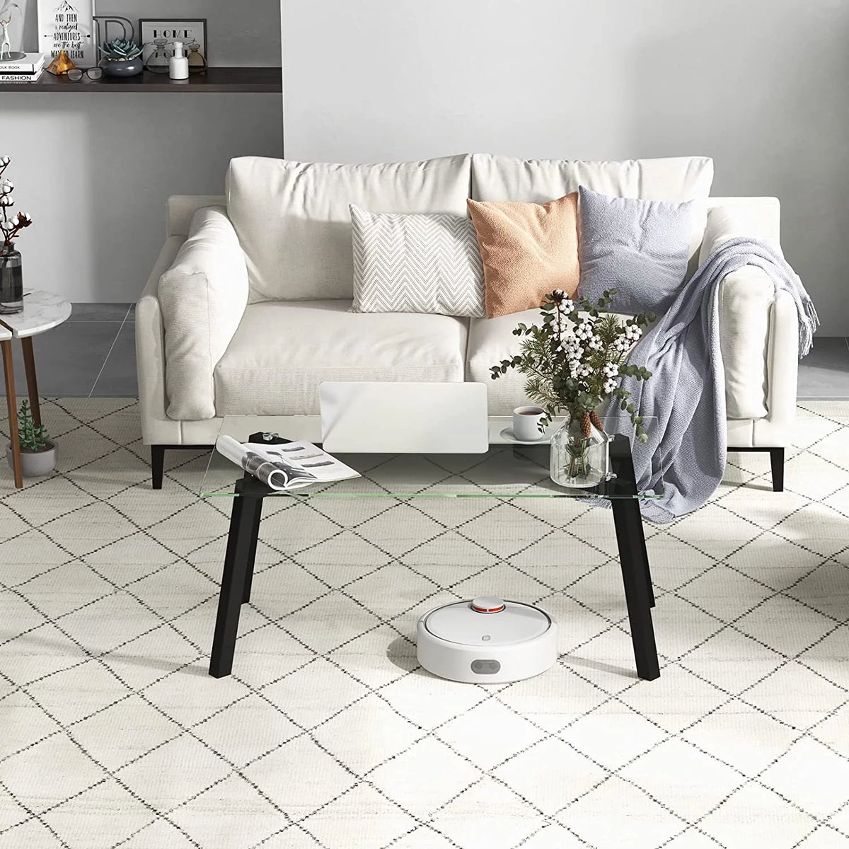 Tempered Glass Coffee Table with Metal Frame T9812