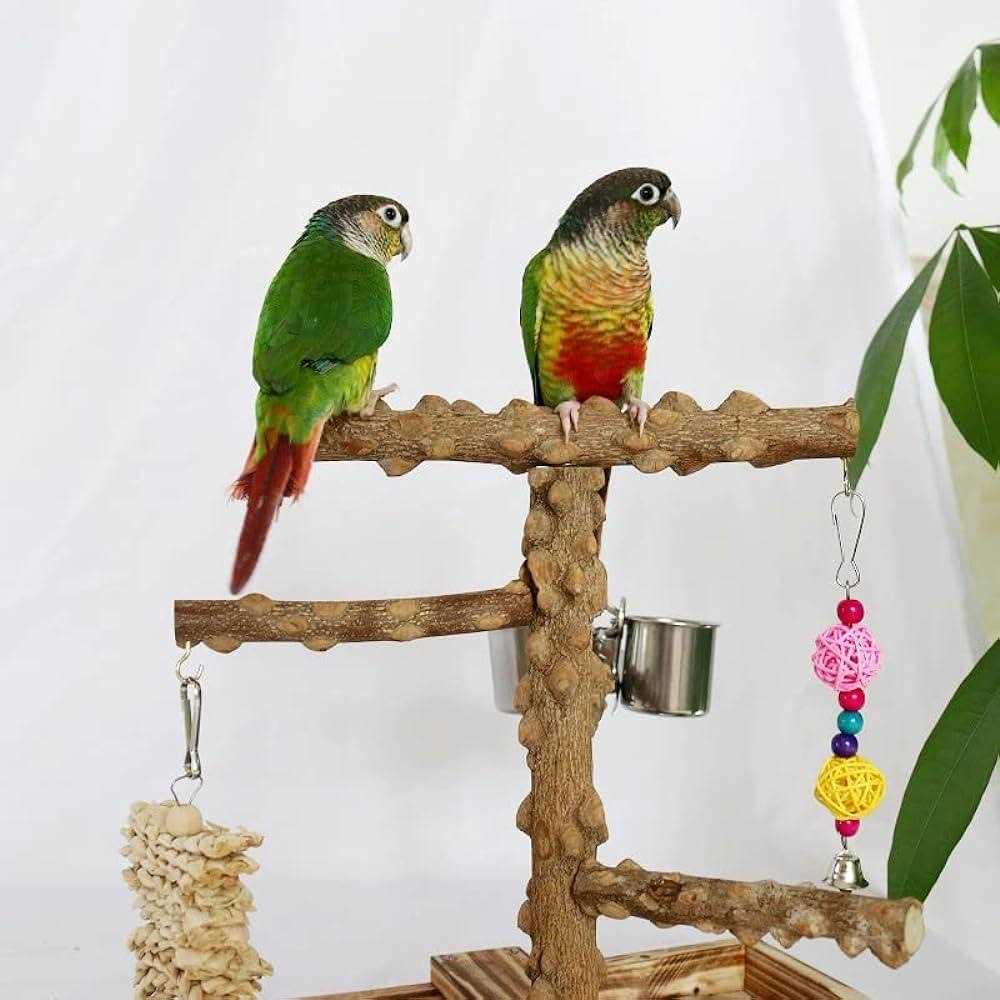 Wood Bird Perch Platform Stand A354