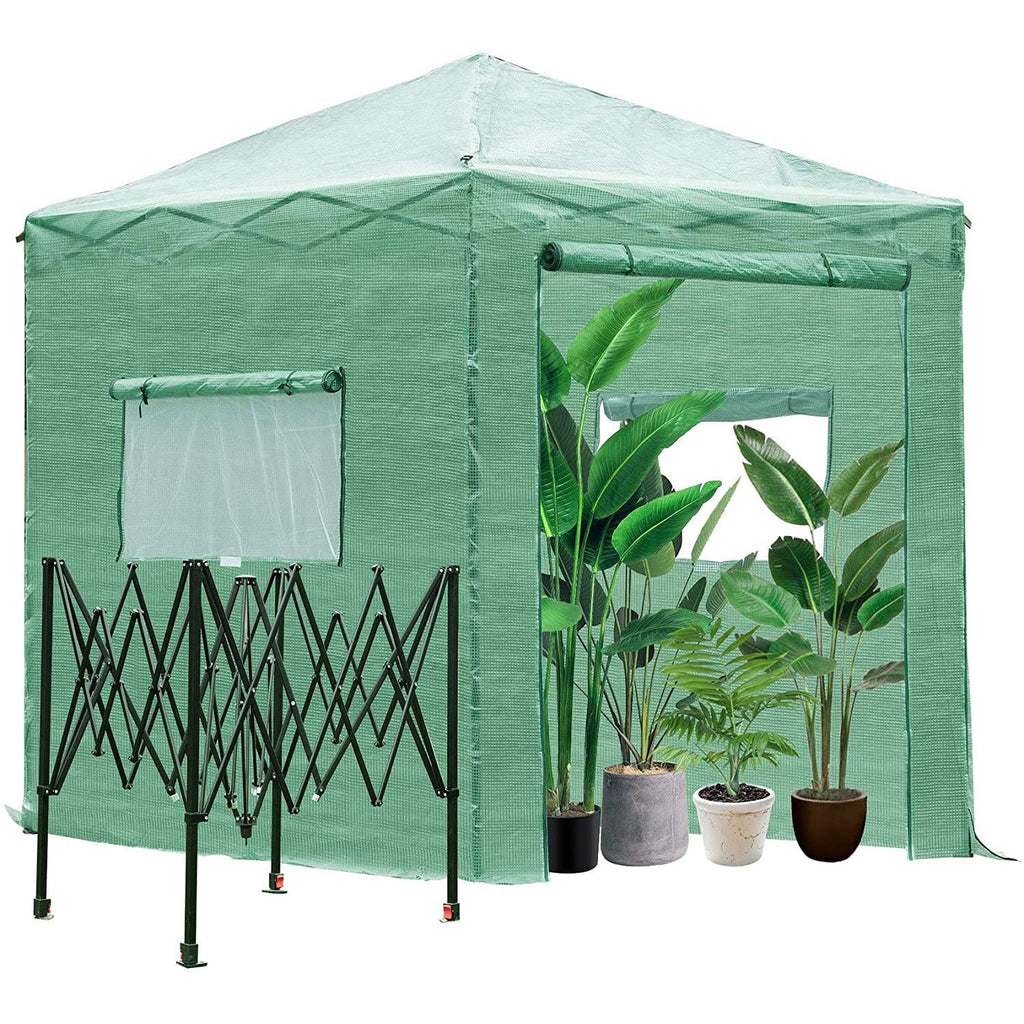 Greenhouse Pop Up Plant Y379