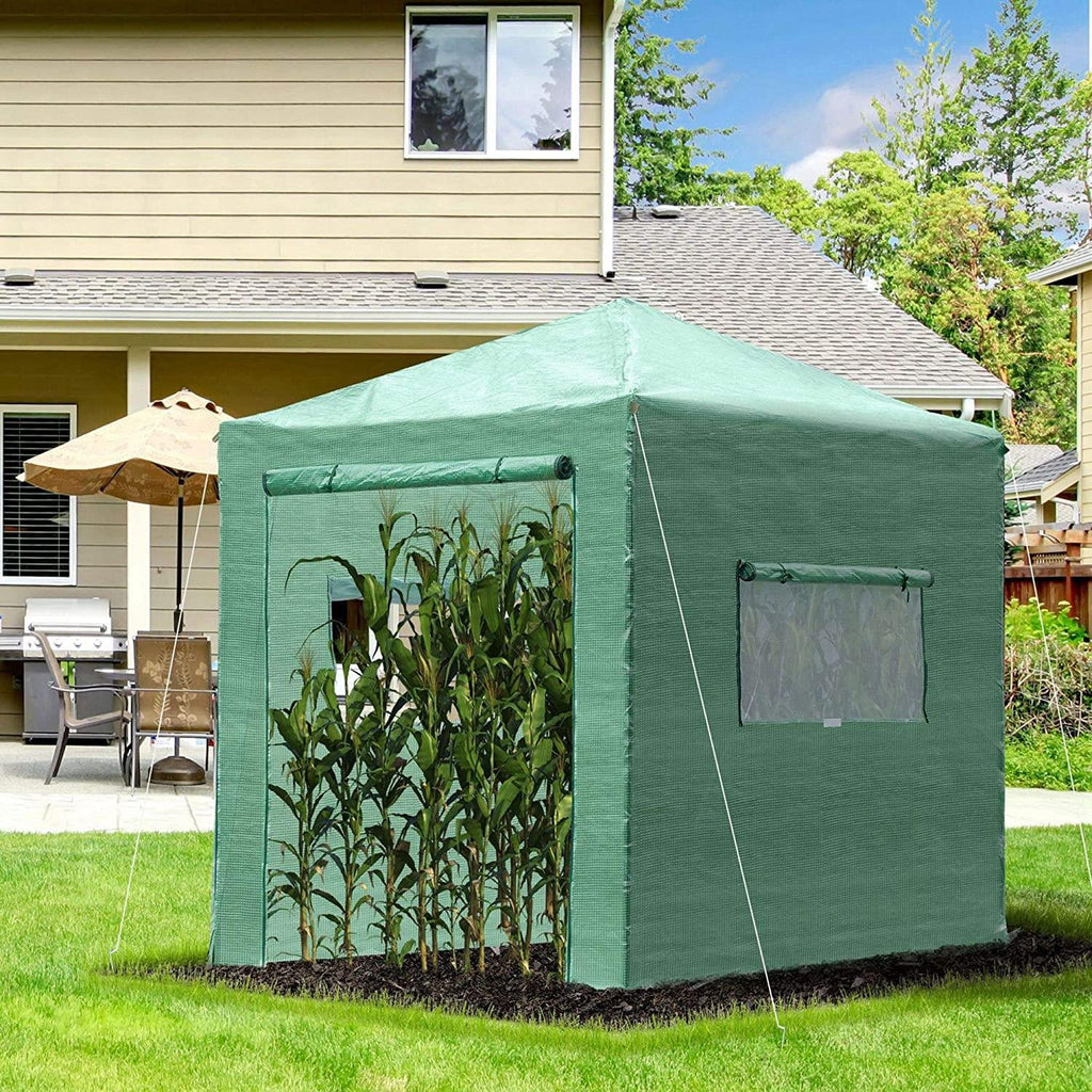 Greenhouse Pop Up Plant Y379