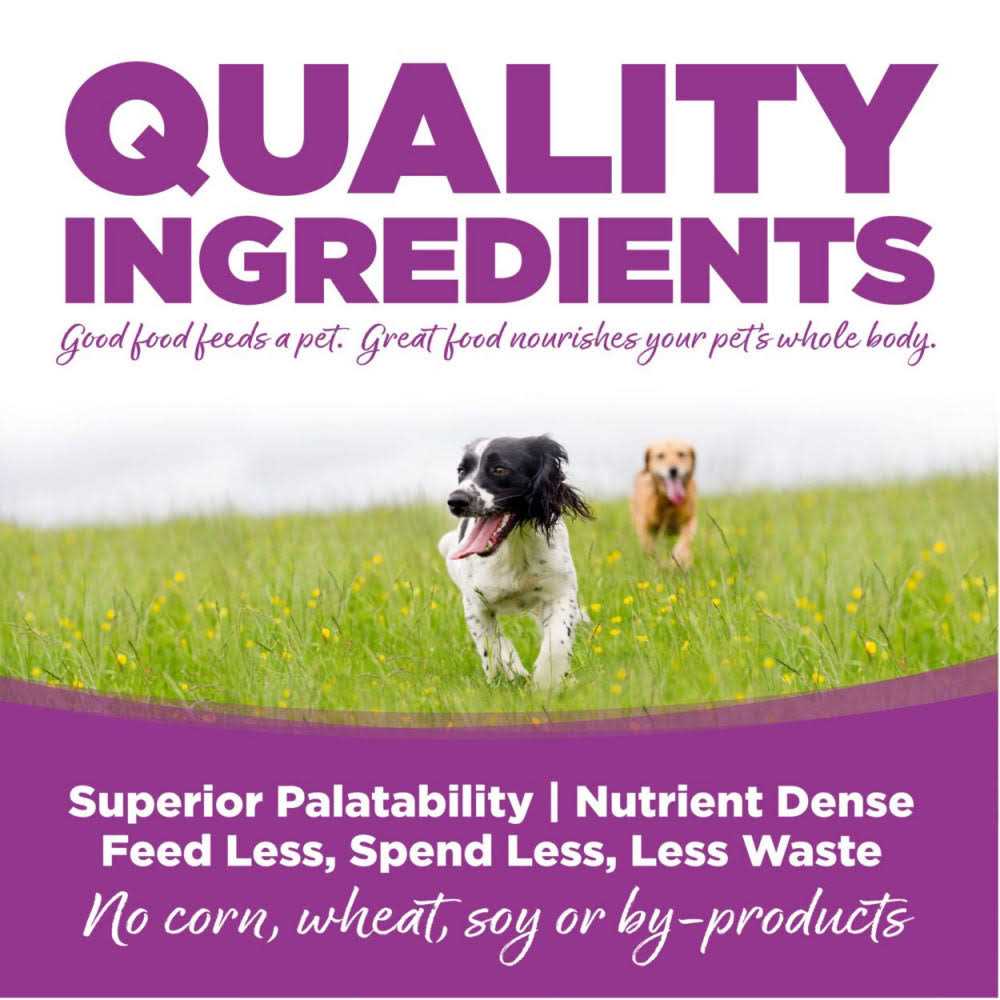 Chicken Rice Large-Breed Puppy Dry Dog Food N4258