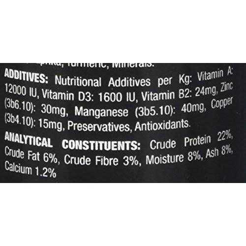 Crested Gecko Pet Supplies R25679
