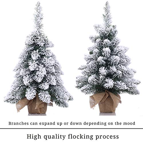20 Inch Pre-Lit Artificial Mini Christmas Tree with 40 LED Lights G20238