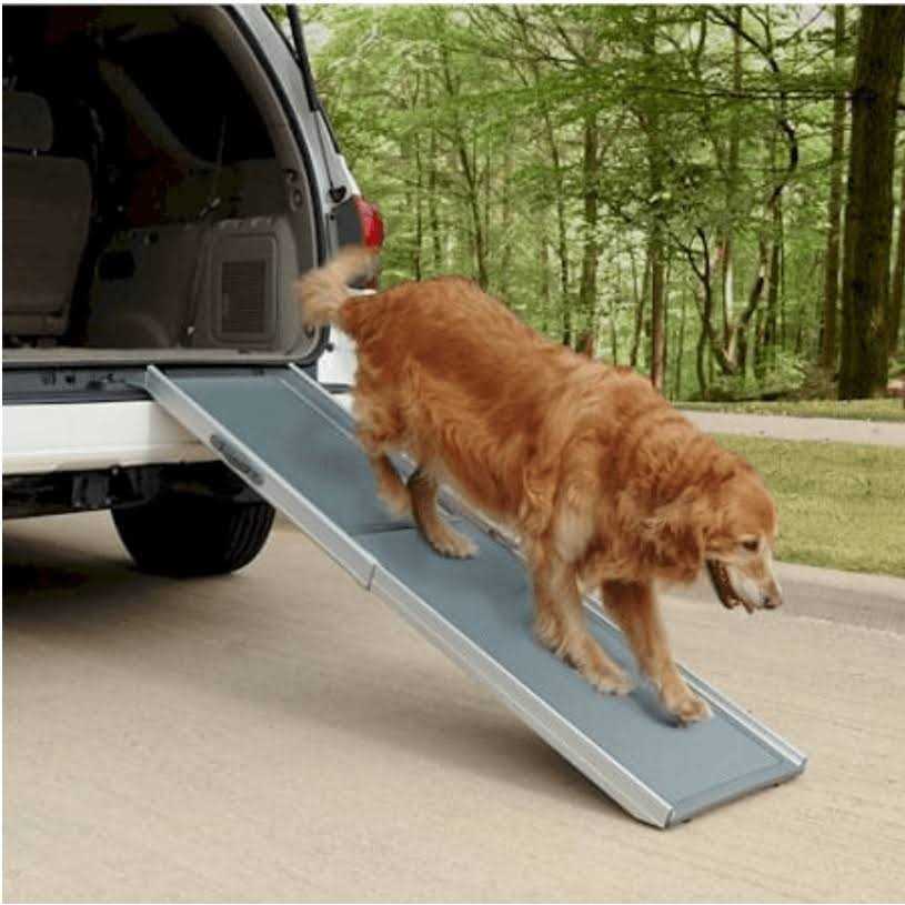 Telescoping Dog Ramp A8894
