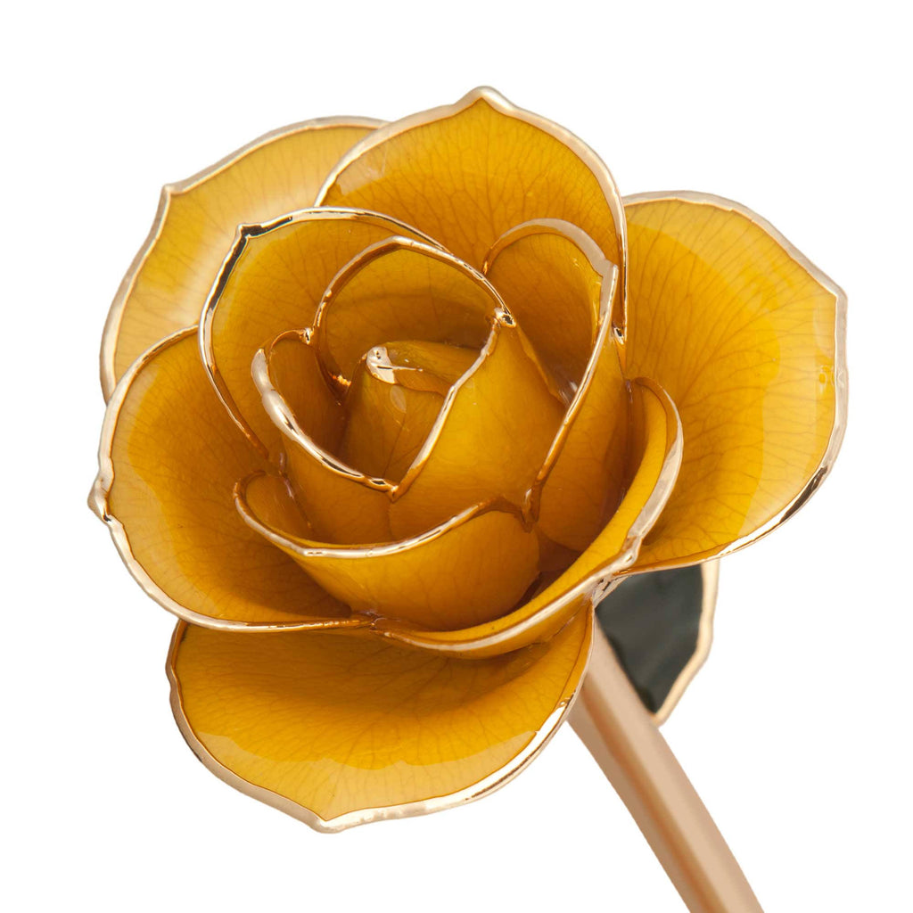 24K Gold Dipped Laquered Rose G7888