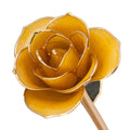 24K Gold Dipped Laquered Rose G7888