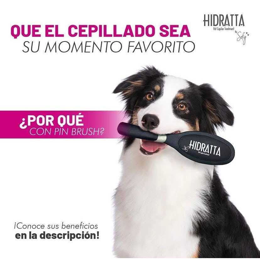 Pet Hairbrush T36186